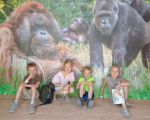 Schoolreis groep 3-4